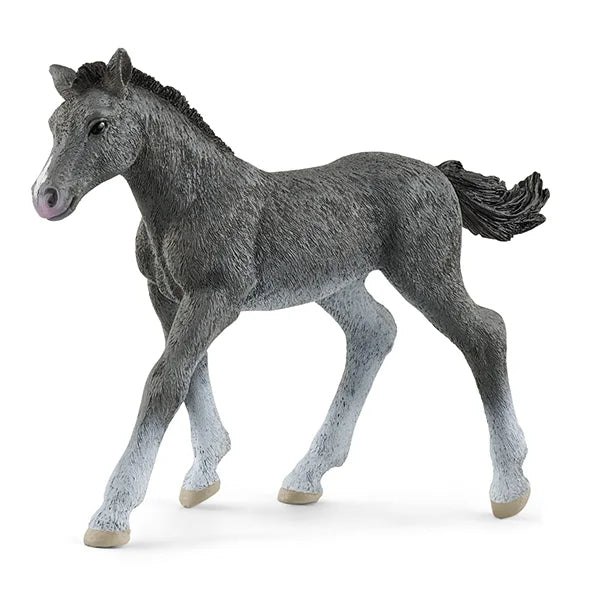Schleich Spielfigur Trakehner Fohlen