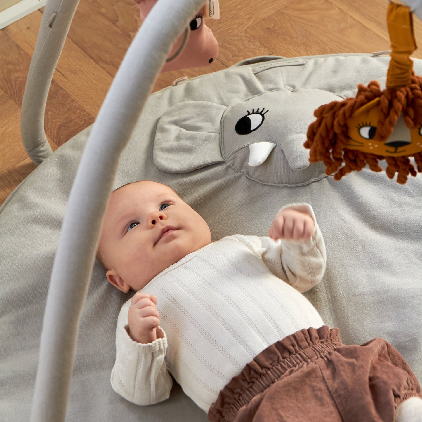Roommate Babygym