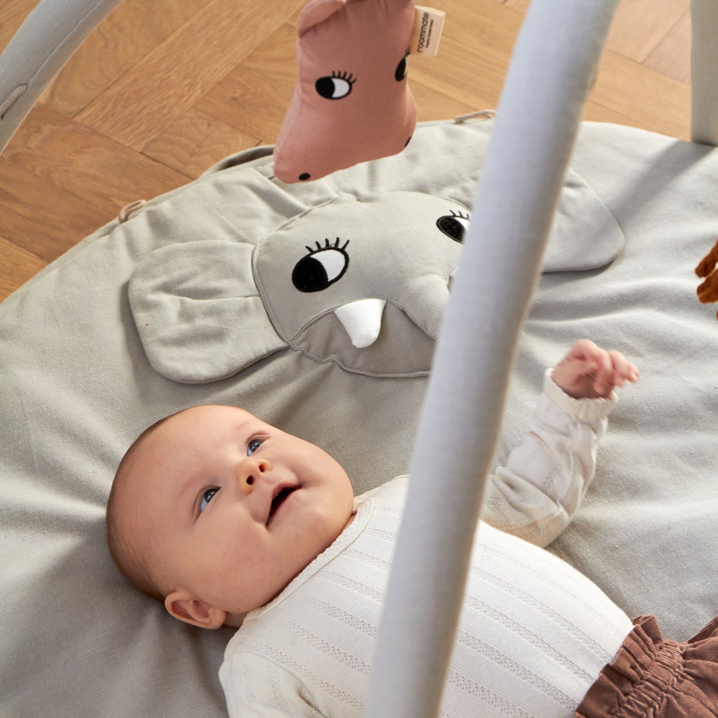 Roommate Babygym
