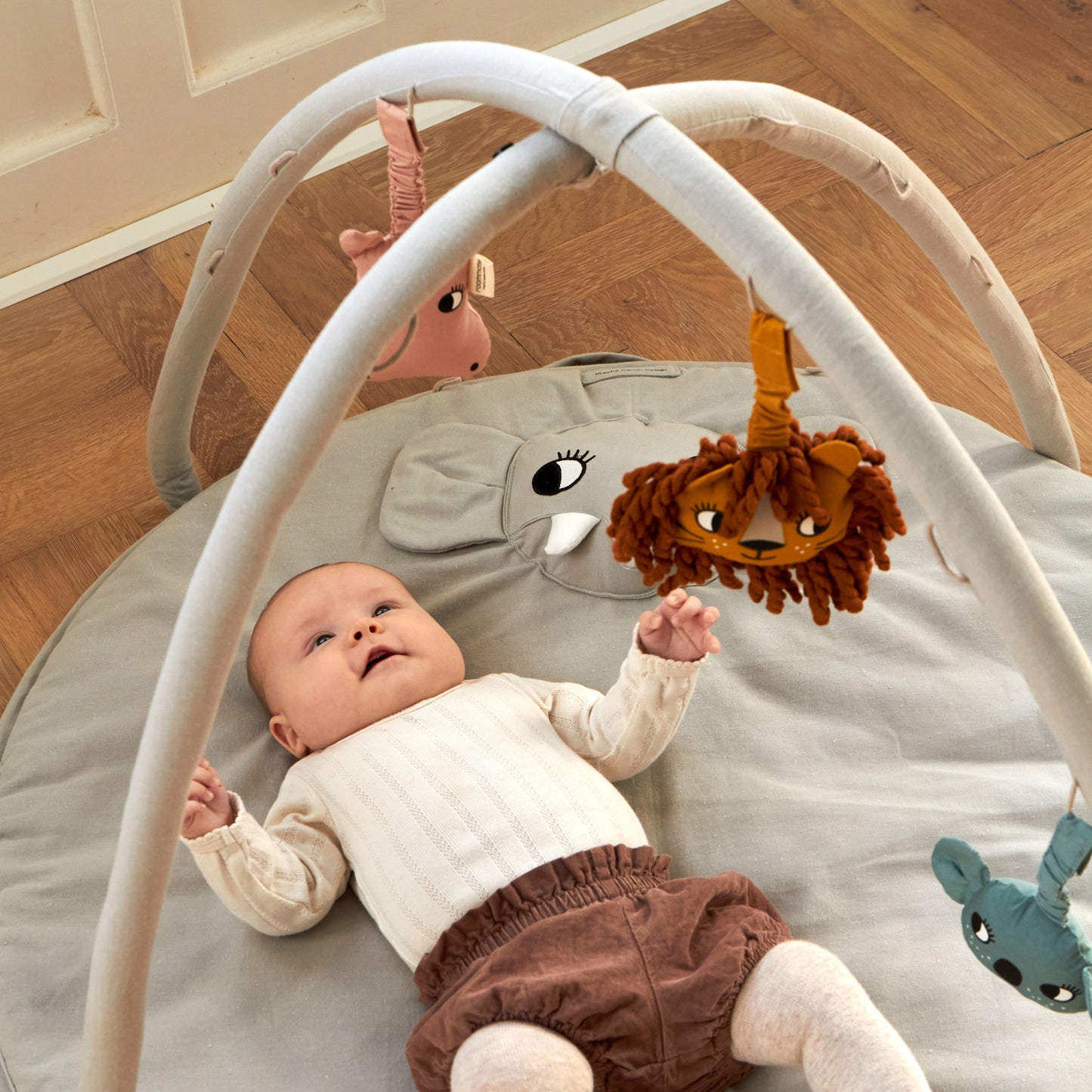 Roommate Babygym