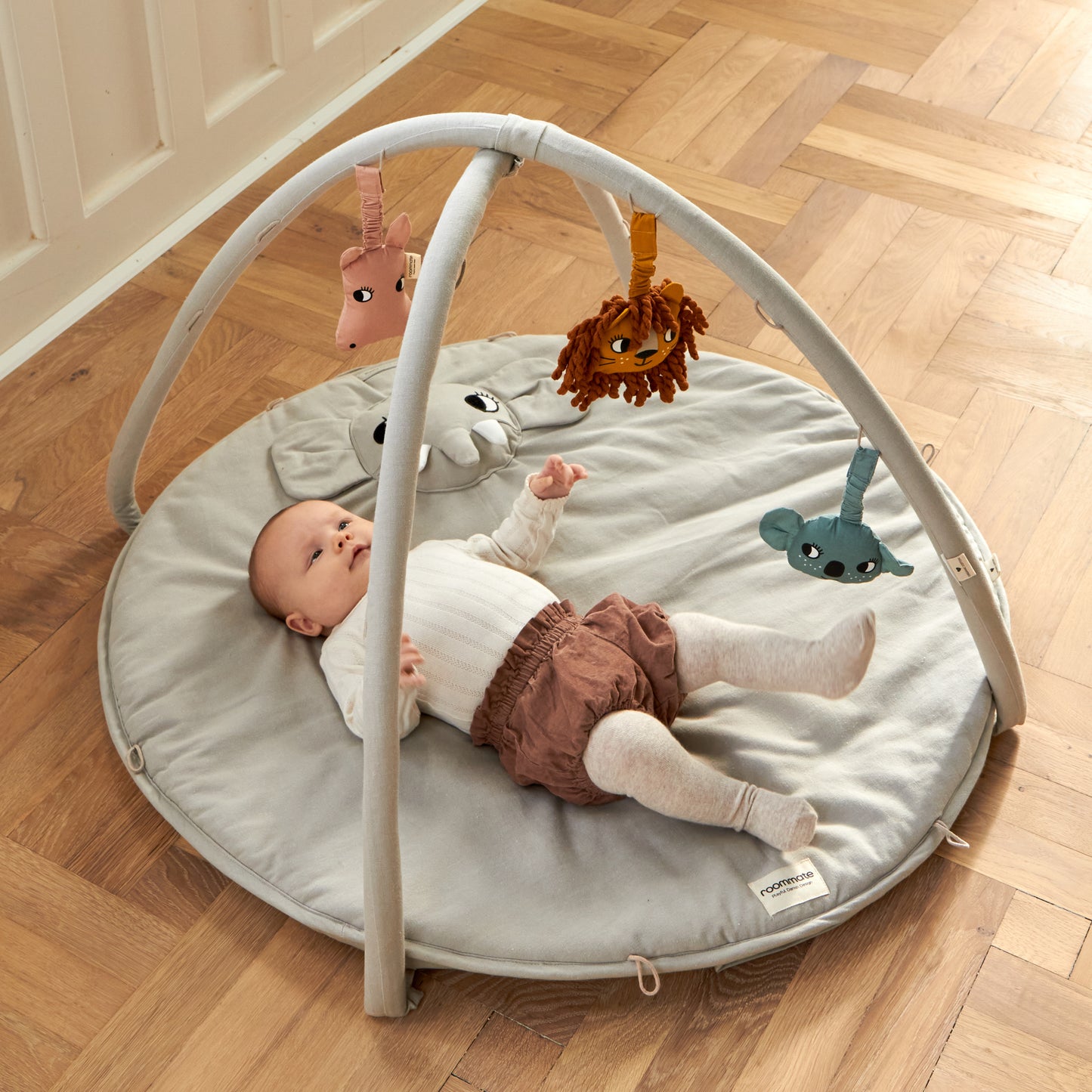 Roommate Babygym