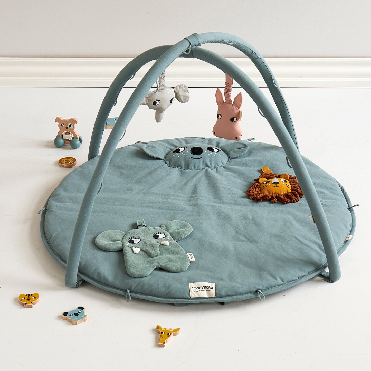 Roommate Babygym