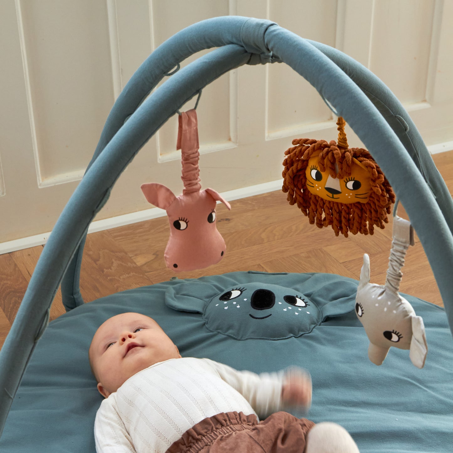Roommate Babygym