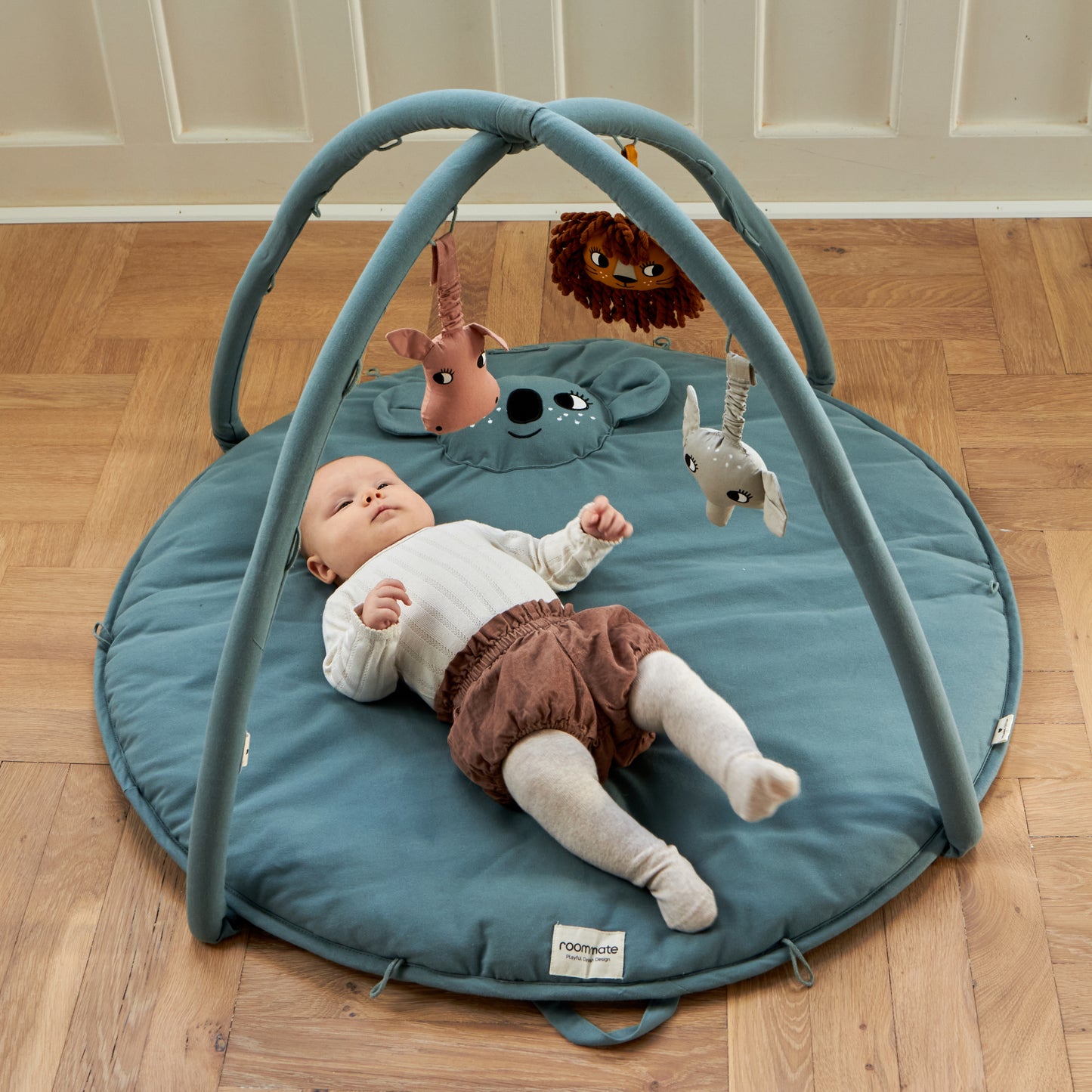 Roommate Babygym