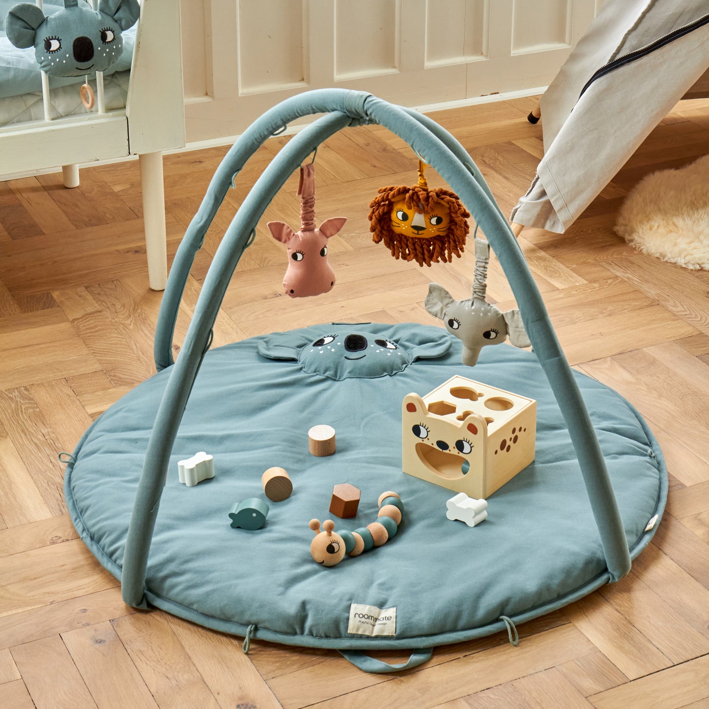 Roommate Babygym
