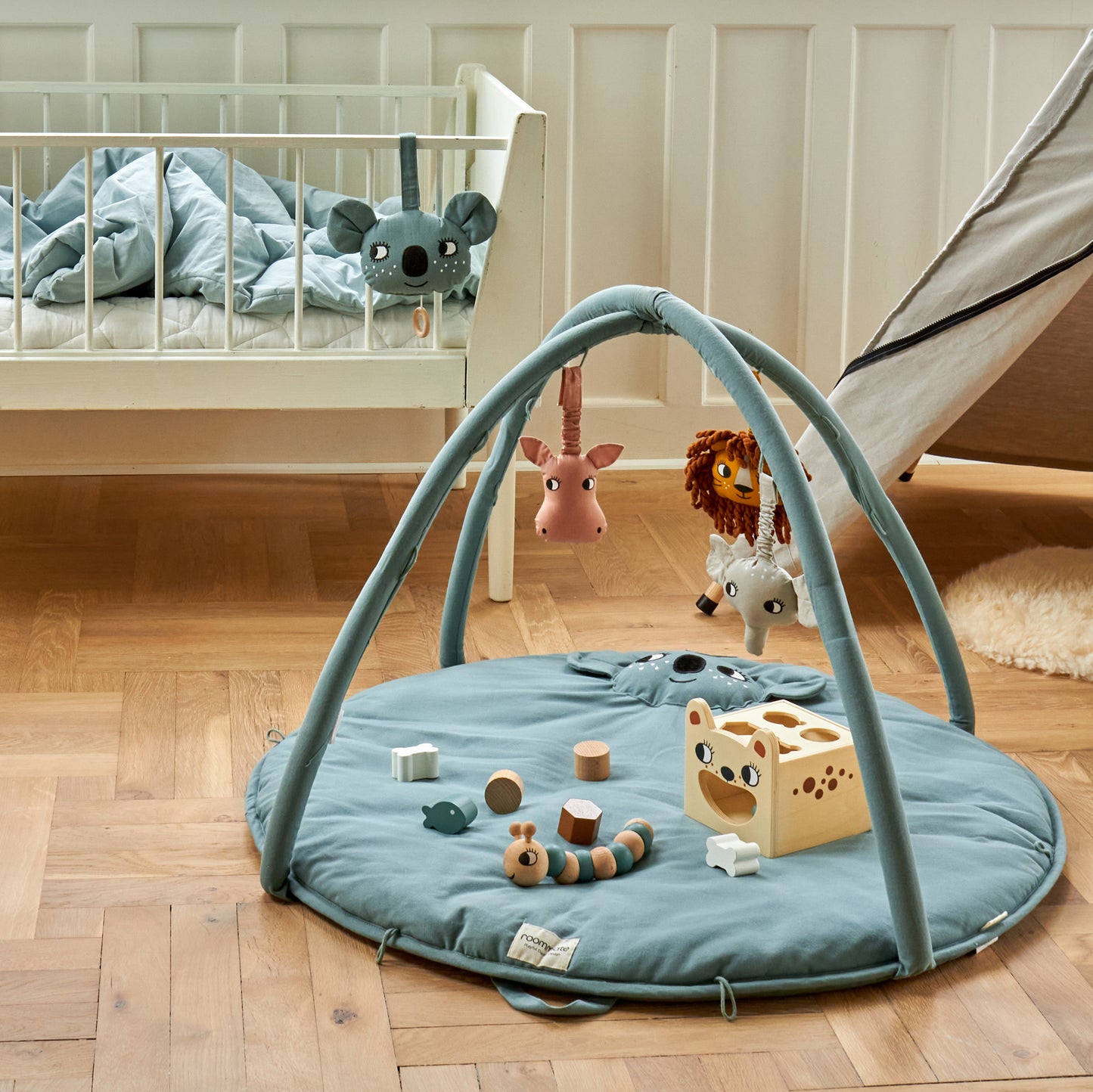 Roommate Babygym