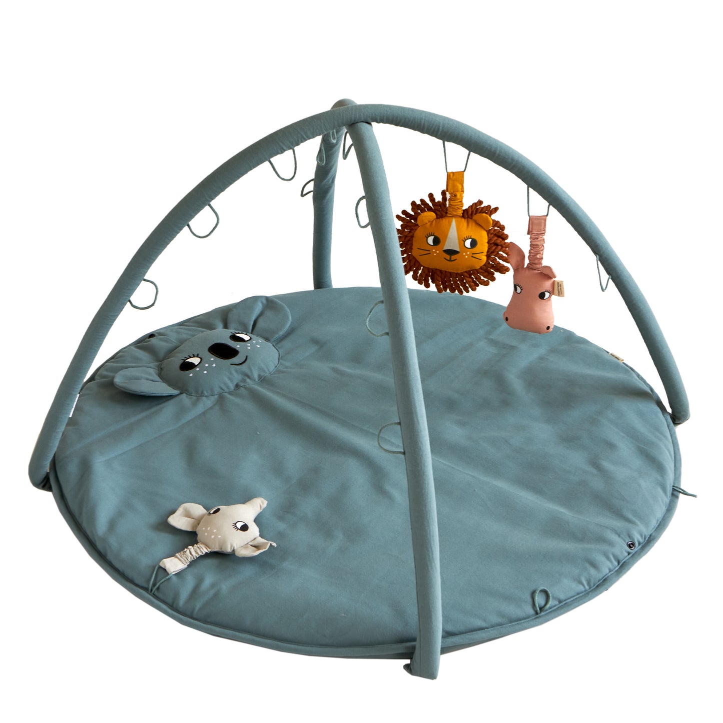 Roommate Babygym