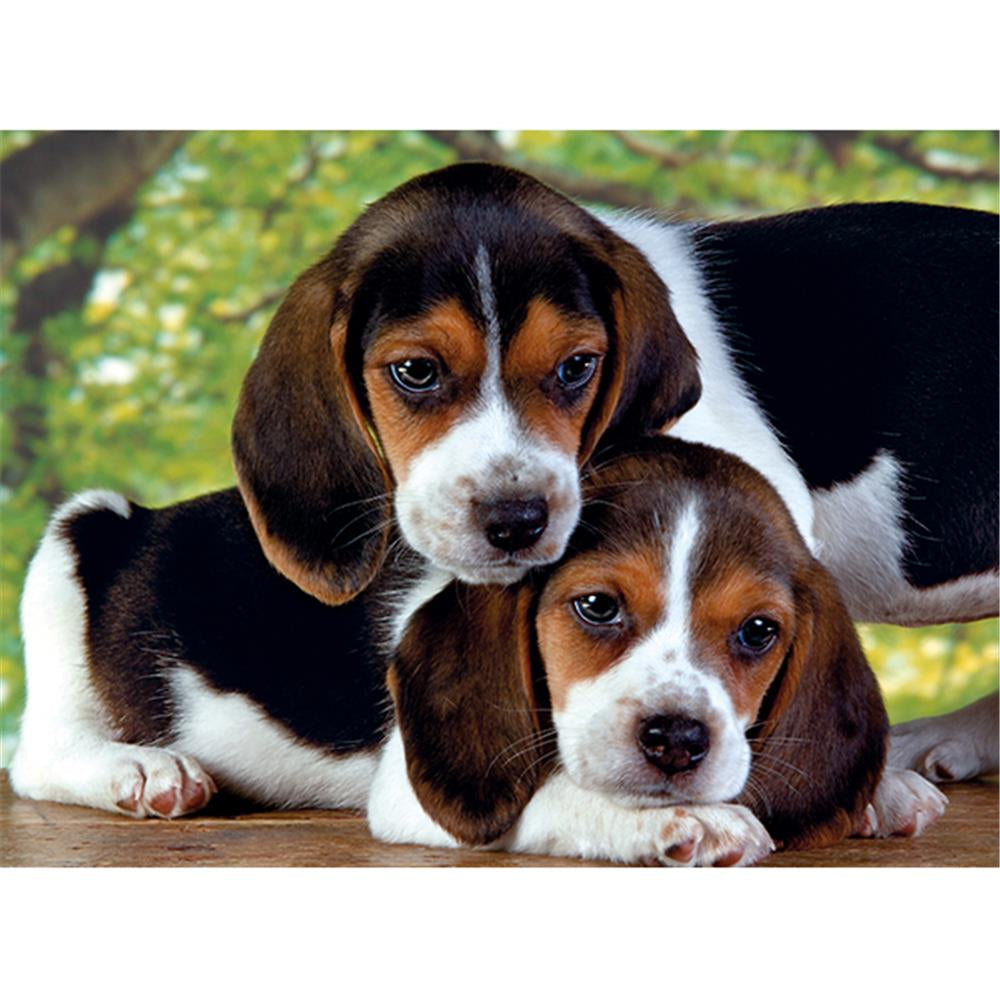 Clementoni Hunde Puzzle