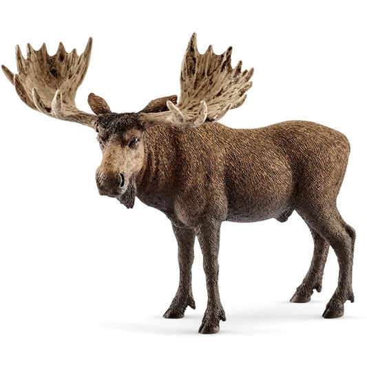 Schleich Spielfigur Elch Bulle