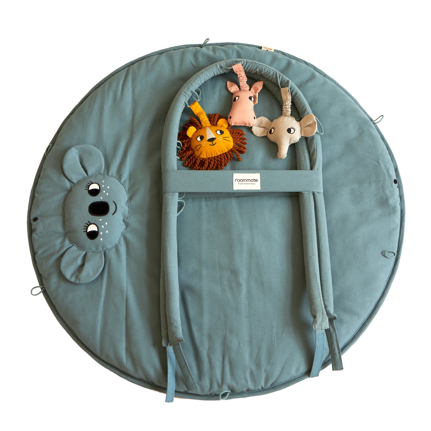 Roommate Babygym